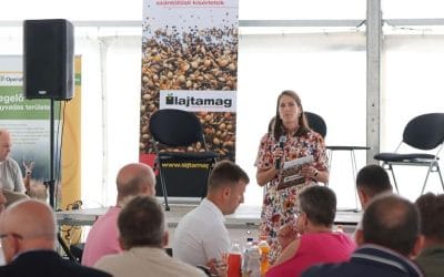 Esőáztatta, virágos születésnap