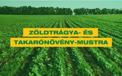 Zöldtrágya- és takarónövény-mustra