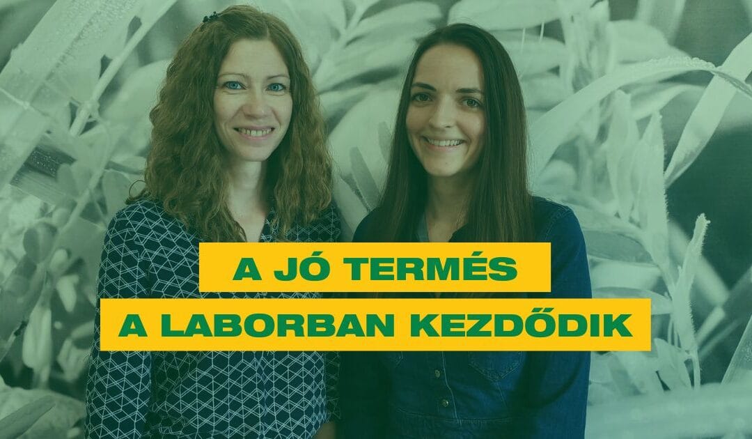 A jó termés a laborban kezdődik – így garantálja a Lajtamag a vetőmagok megbízhatóságát