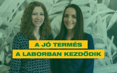 A jó termés a laborban kezdődik – így garantálja a Lajtamag a vetőmagok megbízhatóságát