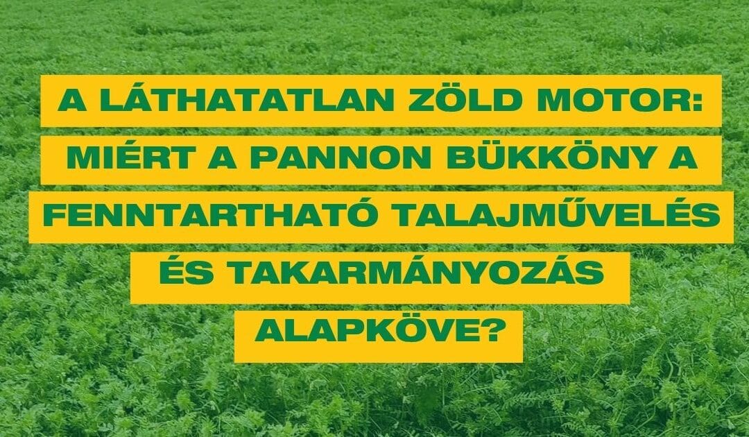 A láthatatlan zöld motor: Miért a pannon bükköny a fenntartható talajművelés és takarmányozás alapköve?