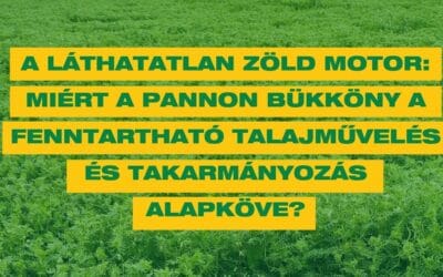 A láthatatlan zöld motor: Miért a pannon bükköny a fenntartható talajművelés és takarmányozás alapköve?
