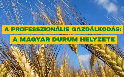 Durum