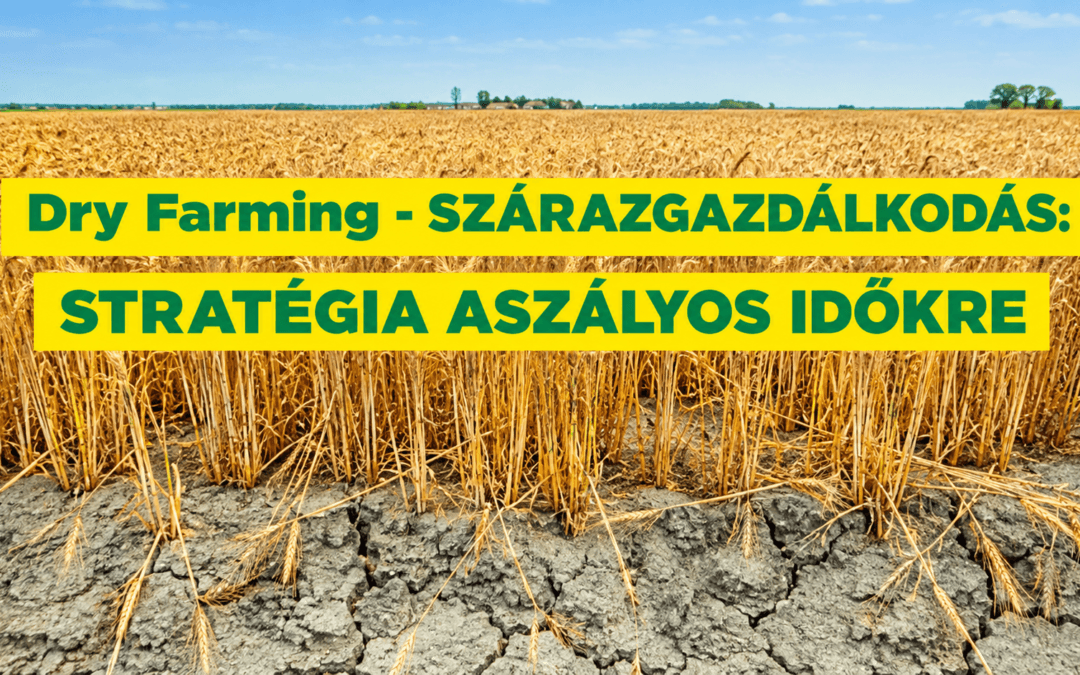 Dry Farming (Szárazgazdálkodás)