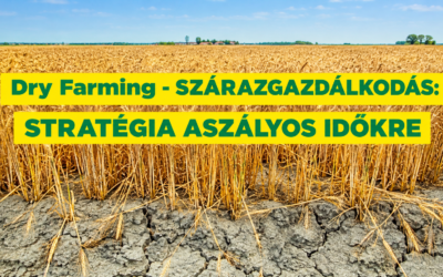 Dry Farming (Szárazgazdálkodás)